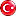 Türkçe